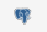 _images/icon_layertype.png
